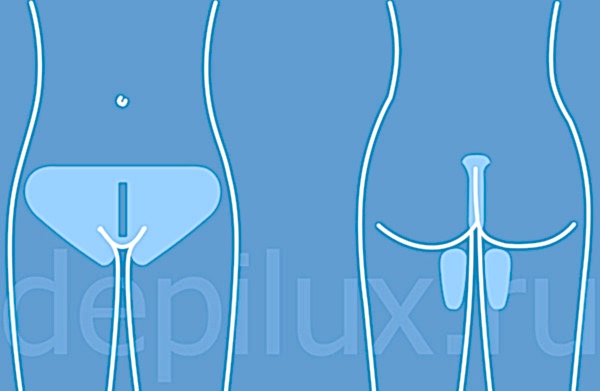 Как выглядит бразильское бикини