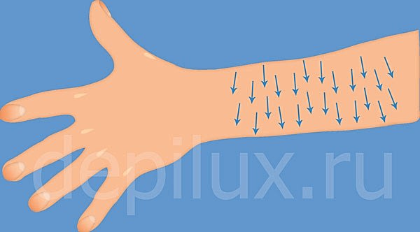 Как растут волосы на руках